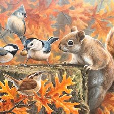 Схема вышивки «чей орешек?»