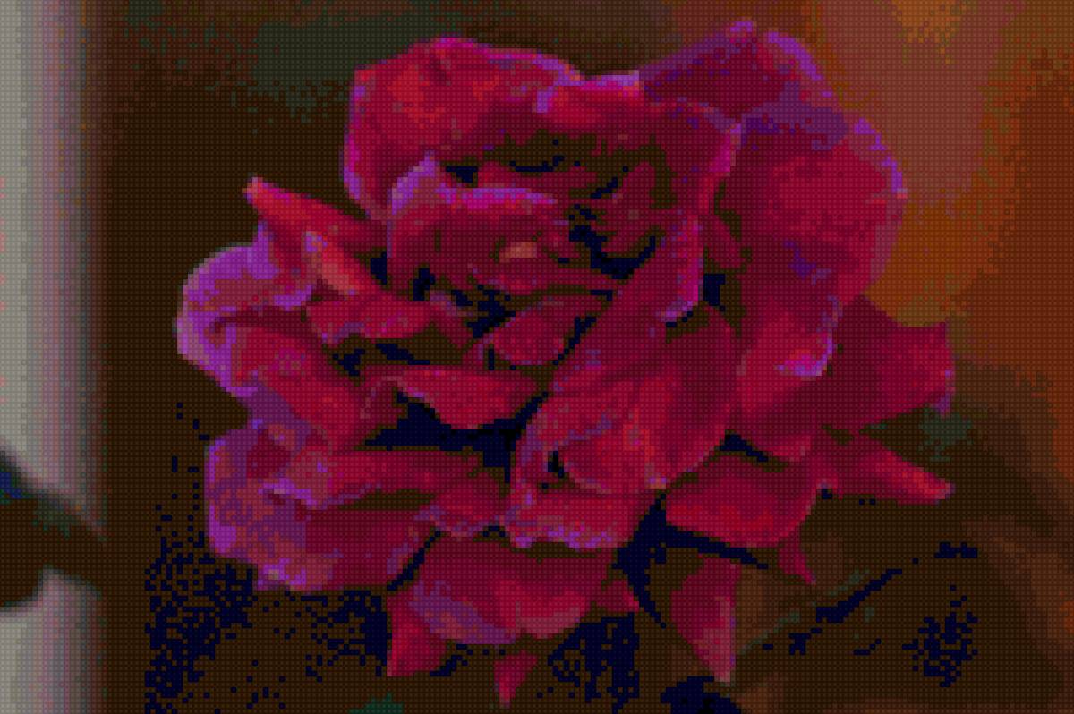 rosa - flores - предпросмотр