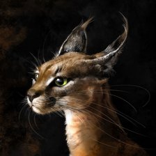 Схема вышивки «каракал»