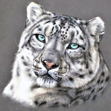 Схема вышивки «Wild life portrets- Snezhniy bars»