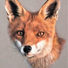 Схема вышивки «Wild life portrets- Lisa»