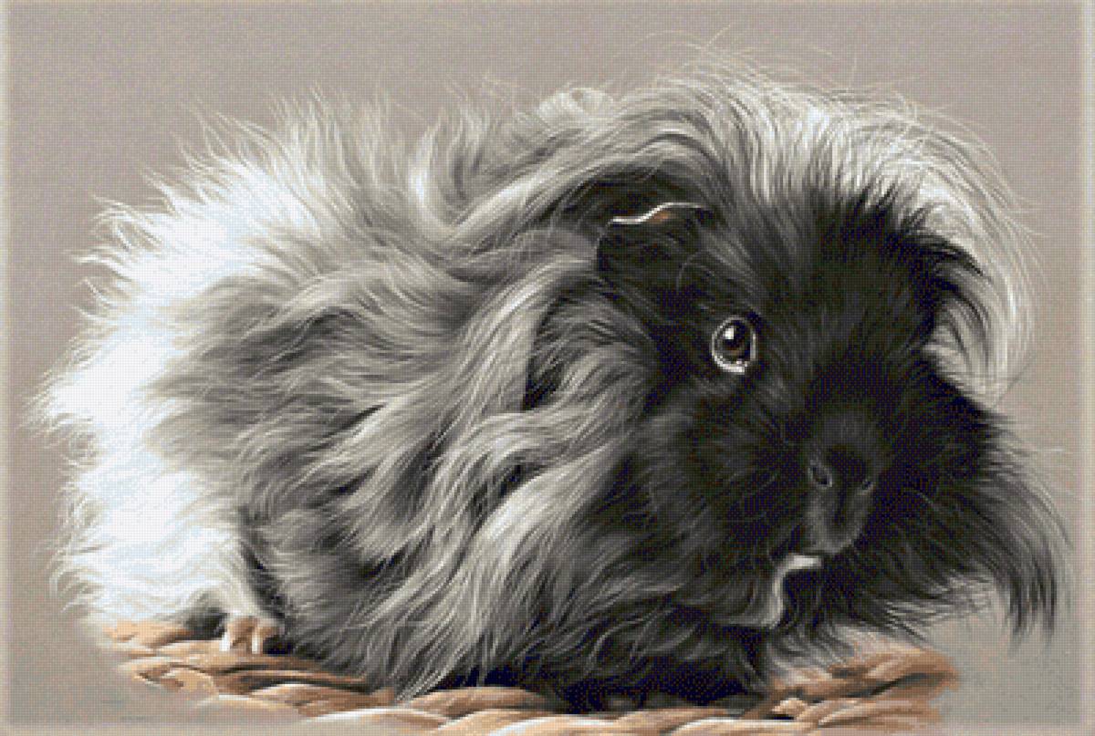 Wild life portrets- Capibara - животные - предпросмотр