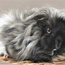 Схема вышивки «Wild life portrets- Capibara»