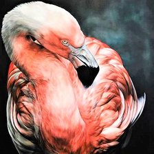 Схема вышивки «Wild life portrets- Flamingo2»