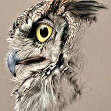 Схема вышивки «Wild life portrets- Sova»