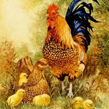 Схема вышивки «Птичий двор 3»