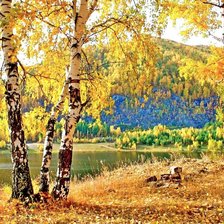 Схема вышивки «Пейзаж»