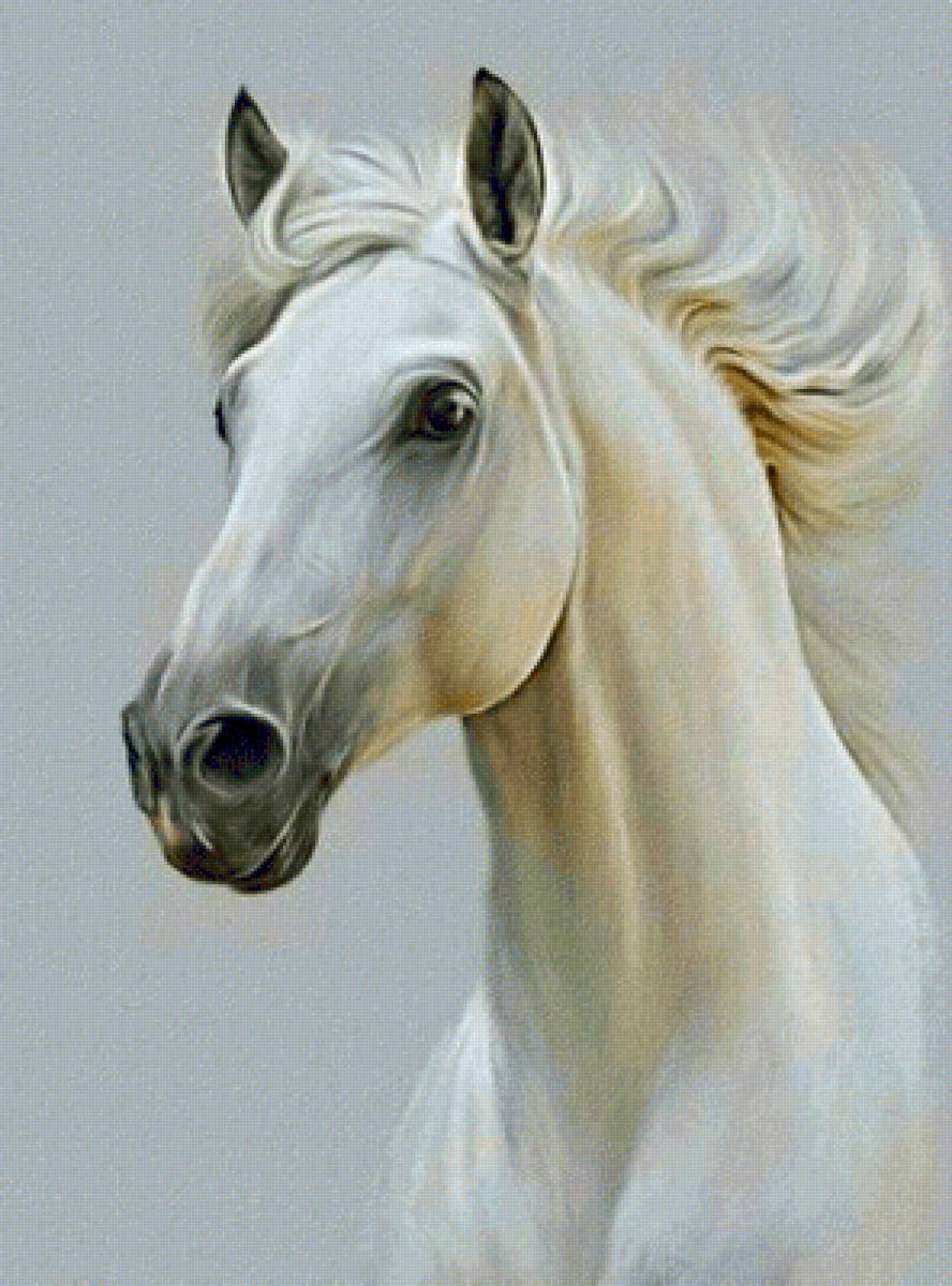 Конь - животные конь - предпросмотр