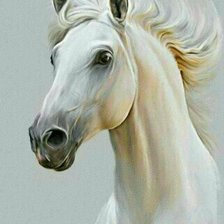 Схема вышивки «Конь»