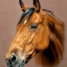 Схема вышивки «Конь»