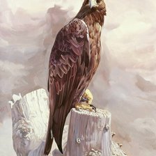 Схема вышивки «Орёл»