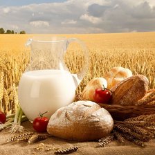 Схема вышивки «Щедрое поле»