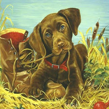 Схема вышивки «№2192614»