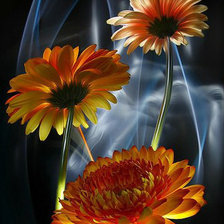 Схема вышивки «Календула 2»