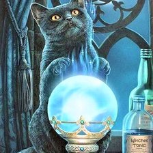 Схема вышивки «Magic cat»