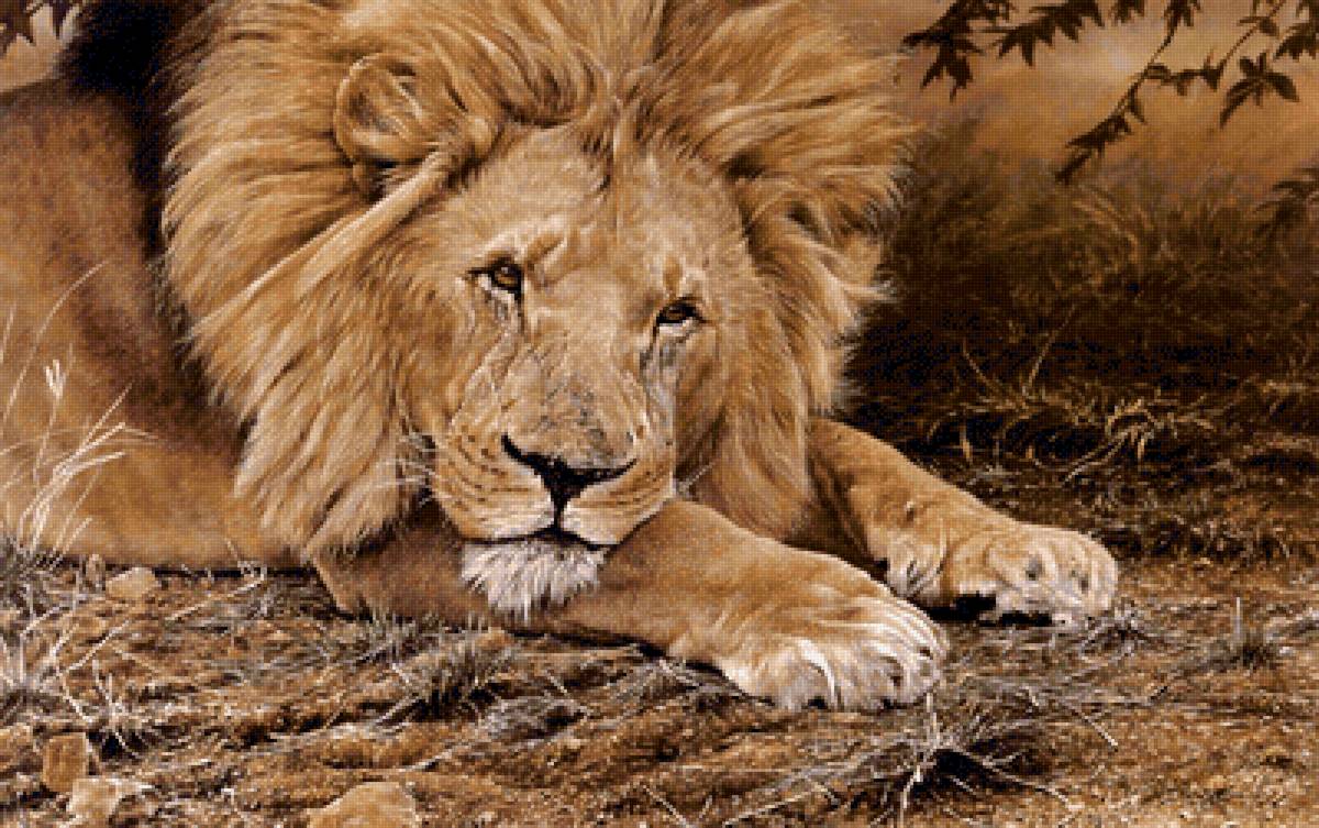 Мудрый лев - предпросмотр