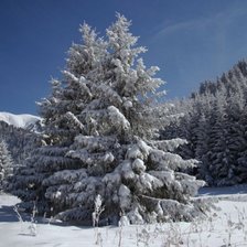 Схема вышивки «Елочка»