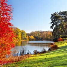 Схема вышивки «Золотая осень»