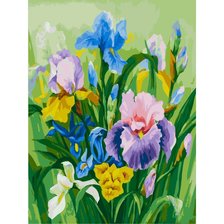 Схема вышивки «Нежные ирисы»