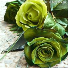 Rosas verdes