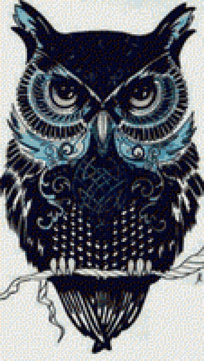 Сова - сова, птицы - предпросмотр