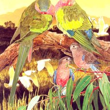 Схема вышивки «Птицы»