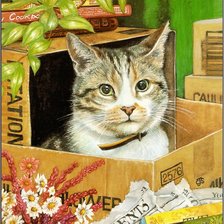 Схема вышивки «Киса»