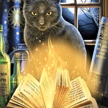 Схема вышивки «Magic cat 2»