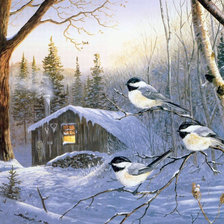 Худ. Терри Даути