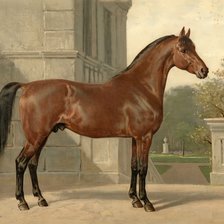 художник Otto Eerelman