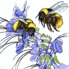 Схема вышивки «Шмели»