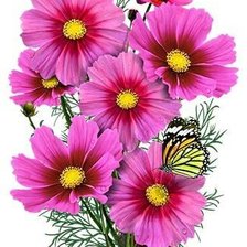 Схема вышивки «№2194576»