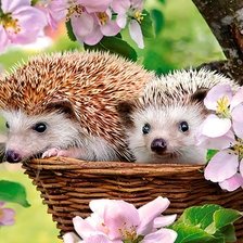 Схема вышивки «Ёжики в корзинке»