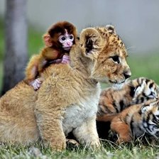 Схема вышивки «Дружба и в Африке дружба»