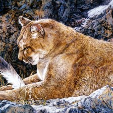 Схема вышивки «Пума»