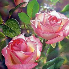 Схема вышивки «цветы»