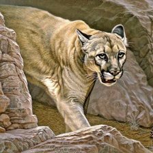 Схема вышивки «Пума»