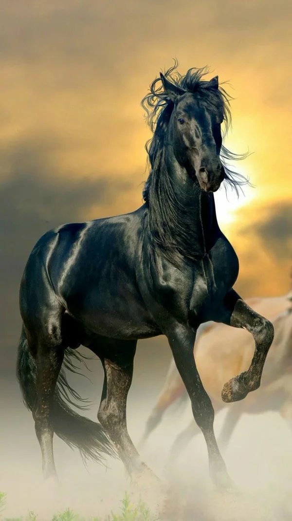 Конь - оригинал