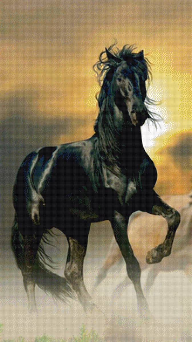 Конь - предпросмотр