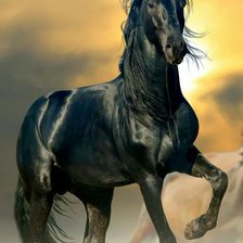 Схема вышивки «Конь»