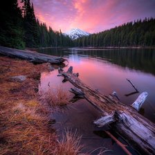 Схема вышивки «Природа»