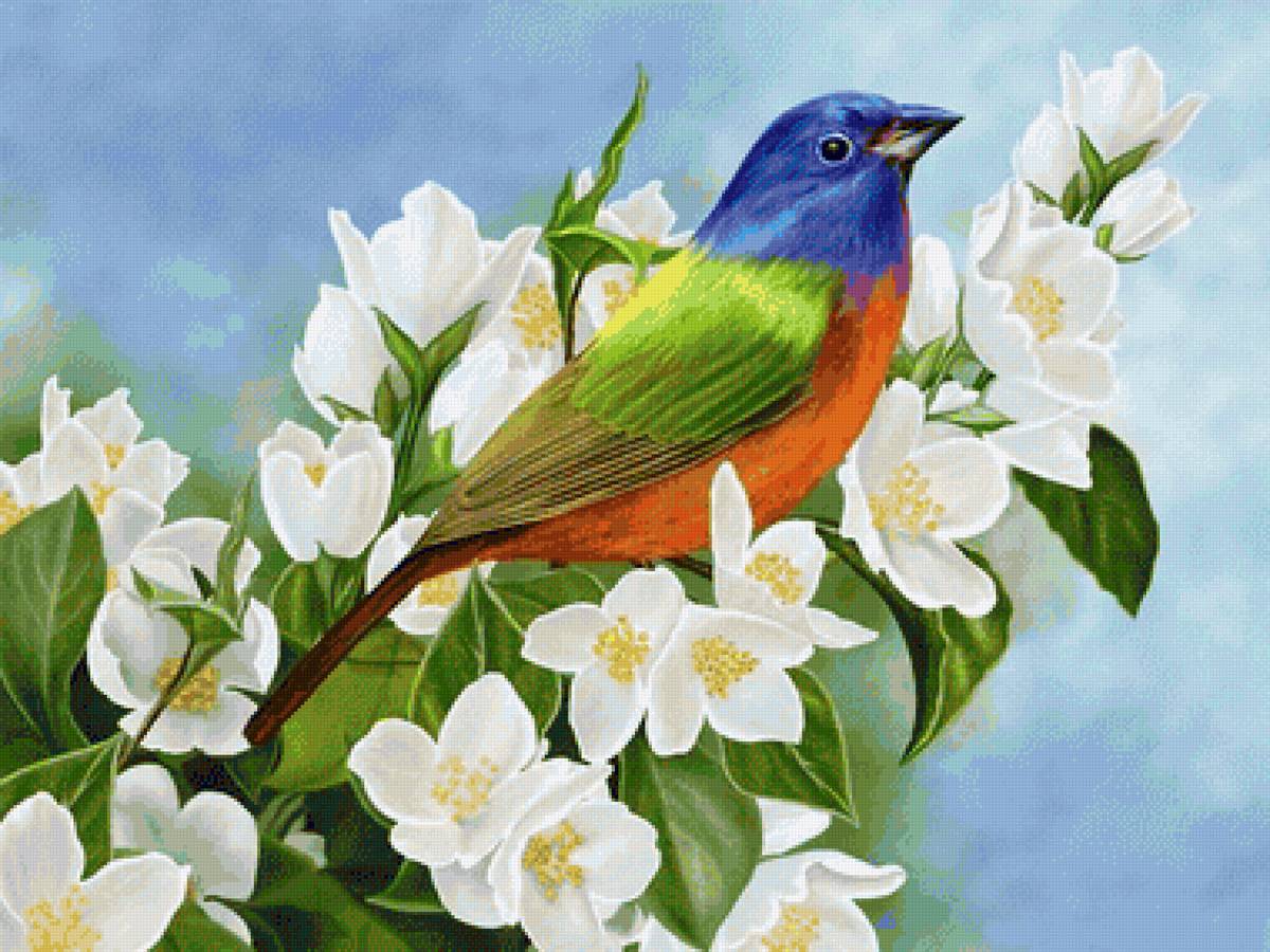 Pássaro. - flores .pássaros - предпросмотр