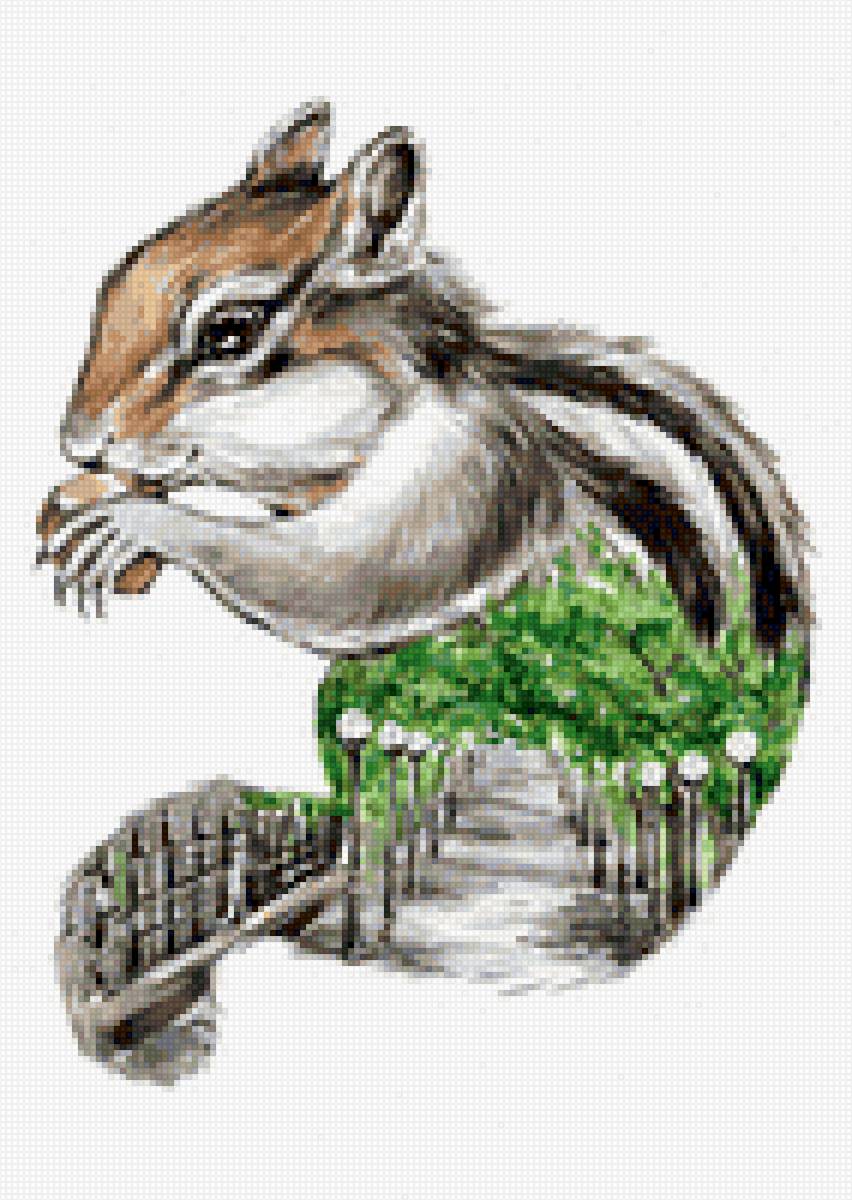 Бурундук-ореховая аллея - предпросмотр