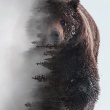 Схема вышивки «сила сибири»