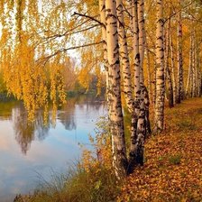 Схема вышивки «Золотая осень»