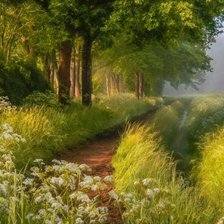 Схема вышивки «Лес»