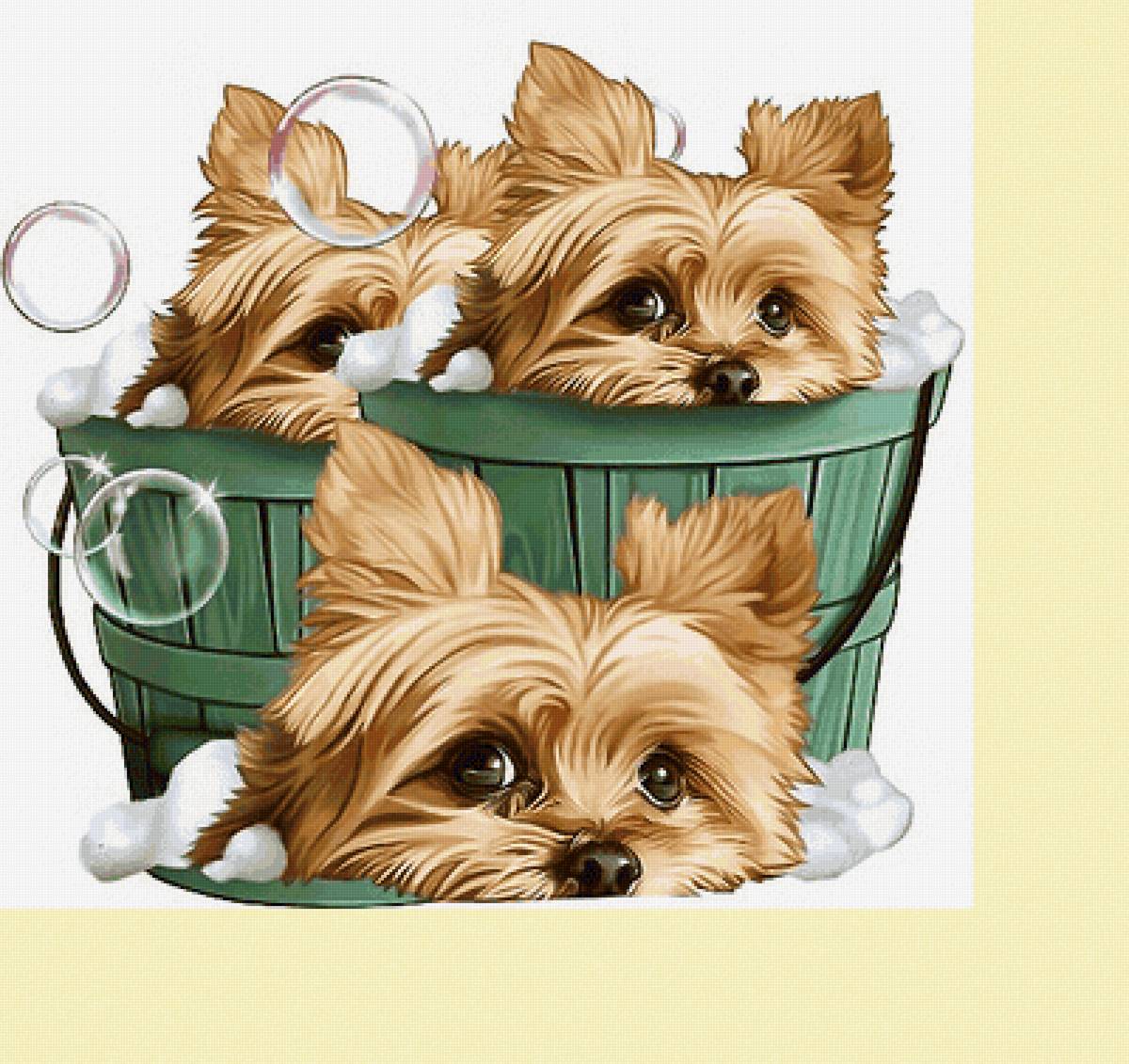 Серия "Собаки". Щенки - детская, собаки, животные, щенки - предпросмотр