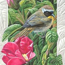 Схема вышивки «птичка»