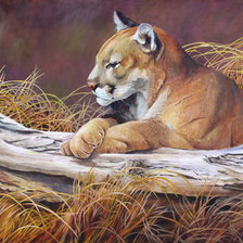 Схема вышивки «Пума»