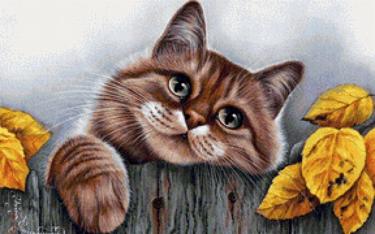 Осенний кот - кот, осень - предпросмотр